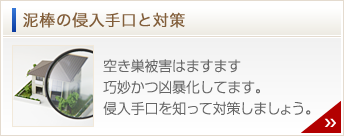 泥棒の侵入手口と対策